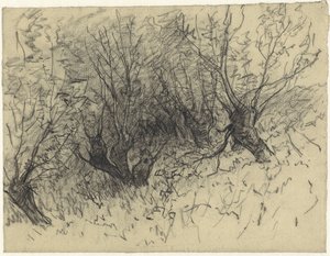 Några pollard willows av Egbert Rubertus Derk Schaap