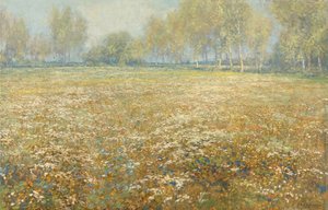 Äng i blom av Egbert Schaap