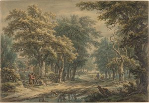 Vid Donderen, i skogen i Drenthe