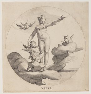 Venus, från Tre gudinnor