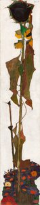 Solros, 1909-1910. av Egon Schiele