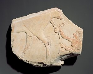 Fragment av en relief som visar födelsen av en kalv, från Asasif, Thebe, tredje mellanperioden (ca 1069-664 f.Kr.) (kalksten) av Egyptian