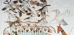 Ankor, bon, fjärilar, katter och gnagare, detalj från scenen för jakt och fiske i kärren, fresk, norra väggen, längsgående kammare, Theban Tomb TT69, Sheikh Abd el-Qurna, Thebe. Egyptisk civilisation, Nya kungariket, dynasti XVIII. av Egyptian 18th Dynasty