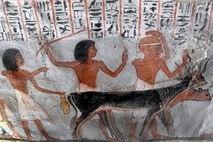 Egyptisk antikvitet: karaktärer som leder betailhuvudena. Målning av Roys grav (TT255). 18:e dynasti. Från västbanken av Luxor, Egypten av Egyptian 18th Dynasty