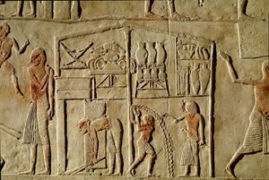 Egyptisk antikvitet: "" livsmedel lagras i lager""" Relief som dekorerar en grav av en hög tjänsteman från den 18:e dynastin. Bologna Civico Museo Archeologico av Egyptian 18th Dynasty