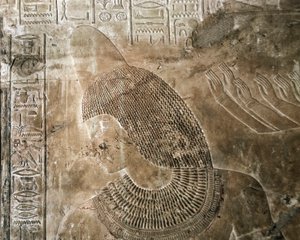 Egyptisk antikvitet: relief från graven av Kha em Het (Khaemhat) vindsinspektör och skrivare vid Amenophis III:s hov (TT57) föreställande en karaktär som bär en kotte. 18:e dynasti. 1530-1290 f.Kr. Vallee des Nobles. Luxor, Västbanken, Egypten av Egyptian 18th Dynasty