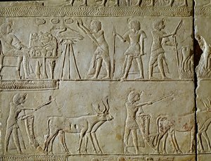 Egyptisk antikvitet: scener av arbete på fälten och offer till farao. Detalj av en relief från Horemheds (cirka 1323-1293 f.Kr.) kungliga skrivare av Tutankhamons grav. 1354-1326 f.Kr. Bologna, Civico Museo Archeologico av Egyptian 18th Dynasty