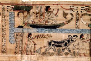 Egyptisk antikvitet: namnet på den sene Aner representerar på Osiris båt, scenen för plöjning och vägning av själar (psykostas). Papyrus från en dödsbok, 20:e dynastin, från Thebe. Turin, egyptisk museum - Forntida Egypten: de avlidnas namn av Egyptian 18th Dynasty