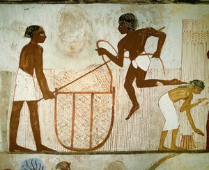 Bönder bär korgar fulla med vete (muralmålning) av Egyptian 18th Dynasty