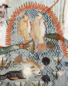 Fisk, detaljer från scenen för jakt och fiske i kärren, fresk, norrvägg, längsgående kammare, Theban Tomb TT69, Sheikh Abd el-Qurna, Thebe (Unescos världsarvslista av Egyptian 18th Dynasty