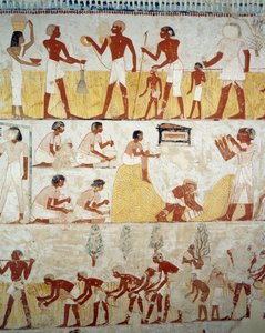 Skörda, tröska och vinna spannmål, detaljer från fresker i vestibulen av Mennas grav, Sheikh Abd el Qurnah Necropolis, Luxor, Thebe (Unescos världsarvslista av Egyptian 18th Dynasty