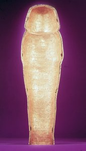 Interiör av en av likkistorna, från Tutankhamons grav (ca 1370-1352 f.Kr.) Nya kungariket (utslaget guld) (se även 227991-2) av Egyptian 18th Dynasty