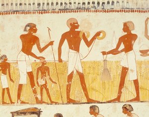 Mätning av landet med hjälp av rep, från gravkapellet i Menna, New Kingdom (väggmålning) (se även 251666)