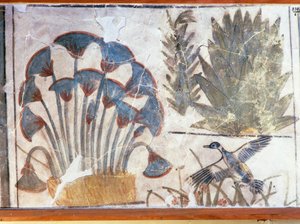 Målning föreställande en anka mellan växter, från Akhenatons palats, El-Awara, Egypten av Egyptian 18th Dynasty