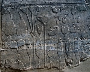 Representationer av växter och djur som Thutmosis III förde med sig från Syrien 1465 f.Kr., detalj från relief, rummet som kallas Botaniska trädgården, tempelkomplexet i Karnak (Unescos världsarvslista av Egyptian 18th Dynasty