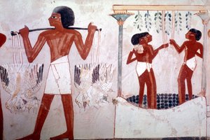Okänd bild av Egyptian 18th Dynasty