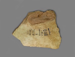 Vinetikett, hittad i Palace of Amenhotep III, Thebe, New Kingdom (terrakotta med pigment)