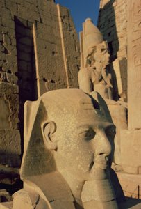 Kolossal chef för Ramses II (1298-32 f.Kr.) Nya kungariket