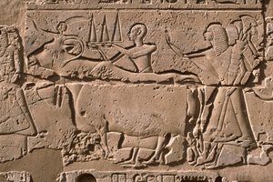 Detalj av en relief som visar män som leder en ko, Ramses II (1298-32 f.Kr.) innergård (kalksten) av Egyptian 19th Dynasty