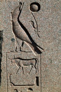 Hieroglyf med Horus namn, Amuns stora tempel, Tanis, Egypten, Nya riket, XIX:e dynastin av Egyptian 19th Dynasty