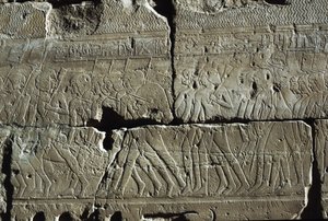 Relief, Amuntemplet, Luxor, antika Thebe (UNESCO:s världsarvslista) av Egyptian 19th Dynasty