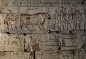 Relief, Ramses II:s tempel, Abydos, Egypten, Egyptisk civilisation, Nya riket, XIX:e dynastin (foto) av Egyptian 19th Dynasty
