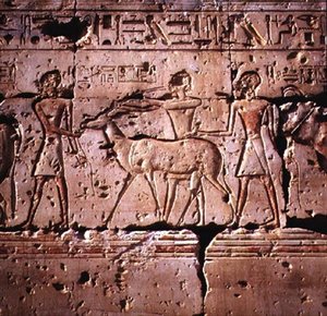 Relief avbildade oryx som leds i procession för att offras, från Ramses II-templet, Nya kungariket av Egyptian 19th Dynasty