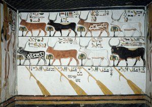 Sju himmelska kor, make-tjur och fyra styråror, kapitel 148 i Book of Dead, detalj från fresker i andra kammaren i Tomb of Nefertari, Valley of Queens, Luxor, Thebe. Egyptisk civilisation, Nya kungariket, dynasti XIX. av Egyptian 19th Dynasty