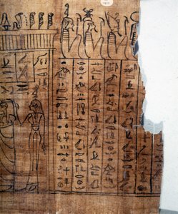 The Book of the Dead: Egyptisk hieroglyf på en papyrus från den 22:a dynastin. Detalj. 9:e århundradet f.Kr. Turin, egyptiska museet.