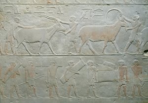 Tjänare som kör en oryx och en antilop och andra som bär bagage, från Mastaba i Akhethotep, Saqqara, Gamla kungariket, ca 2400 f.Kr. (målad kalksten)