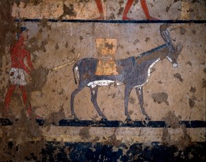 Egyptisk antikvitet: "" transporten av spannmål på ryggen av en mula""" Temperamålning av väggen i graven av kung Itis (eller Ity) 2200-2000 f.Kr. Från El Ghebelen, Luxor. Turin, egyptiskt museum av Egyptian Egyptian