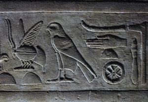 Hieroglyps, faraos bi och Horus-falken, Horus-templet, Edfu av Egyptian Egyptian