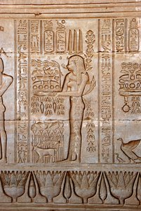 Egyptisk antiken: representation av en ung kvinna som kommer med offer som hyllning till gudinnan, Hathors tempel, Dendera, Egypten av Egyptian Ptolemaic Period