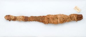 Mumie av en krokodil, hittad i Manfalont, 305-30 f.Kr. (djurrester och linne) av Egyptian Ptolemaic Period