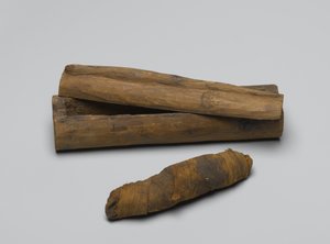 Liten kista av orm, med mamma, 664 BC-322 BC (trä, djurrester och linne)