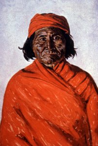 Geronimo, ca 1900 (illustration) av Elbridge Ayer Burbank