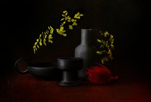Mörkt botaniskt stilleben av Elena Arjona