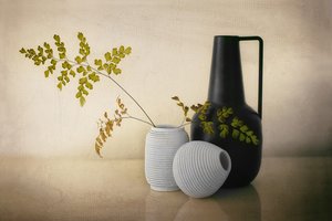 Moderna vaser – stilleben