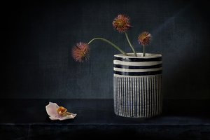 Stämningsfulla, taggiga blommor av Elena Arjona