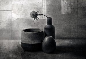 Moody Thistle-fartyg av Elena Arjona