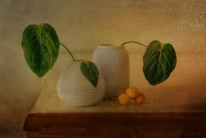 Ett stillsamt botaniskt arrangemang