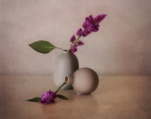 Lugna blomvaser av Elena Arjona