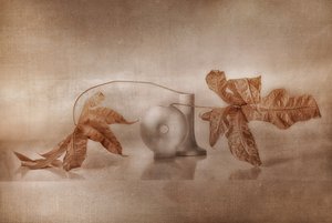 Vintage – höstreflektion