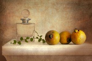 Vintage-stilleben med guava av Elena Arjona