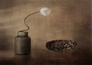 Stilleben med vita blommor av Elena Arjona