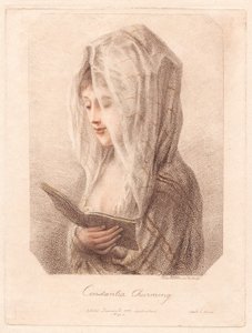 Constantia Charming av Elias Martin