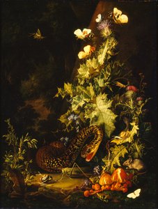 Stilleben med en orm, tidigt 1700-tal