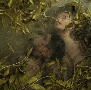 Gömd i paradiset, 2015 (screentryck) av Elinleticia Högabo