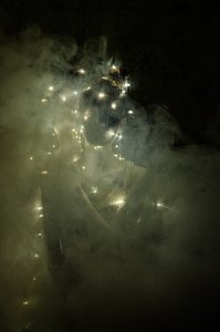 Lightness of being 1, 2014 (screentryck)