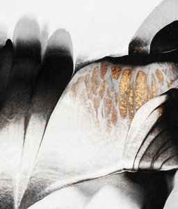 Fluid Gold Contrast av Elisabeth Fredriksson